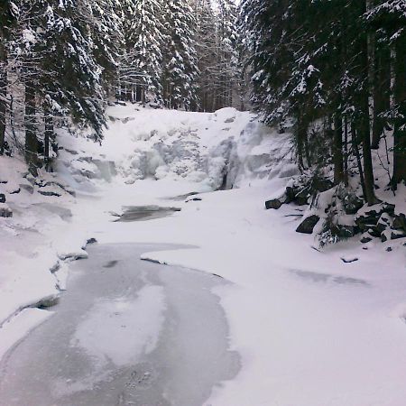 Pension Mona Harrachov Exteriör bild