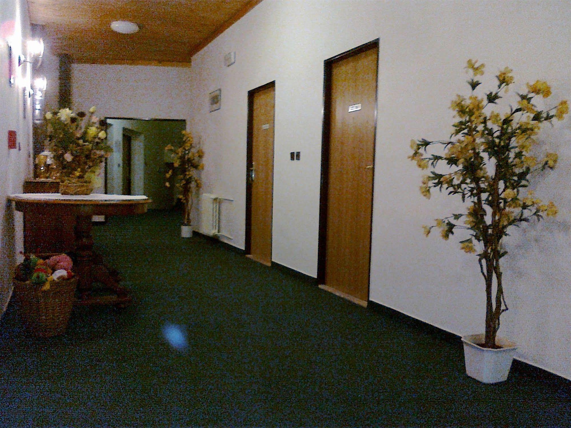 Pension Mona Harrachov Exteriör bild